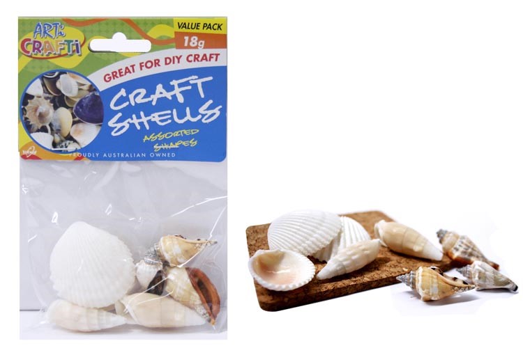 Sea Shells Medium 18gm Pack